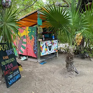 book here